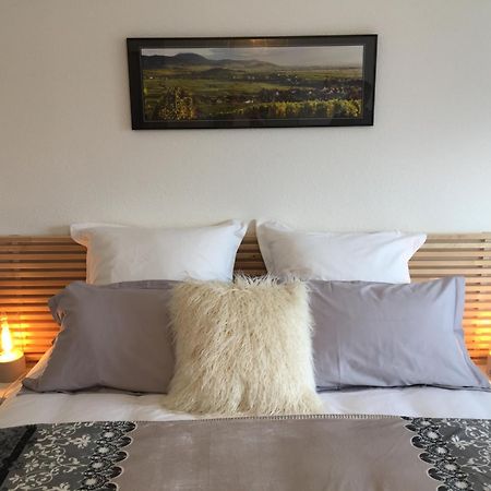 Les Mesanges De L'Ill Bed & Breakfast Andolsheim Bilik gambar